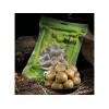 銷售一空[信義鄉農會-梅子夢工廠]信義農會  堅持袋裝脆梅200g*1包