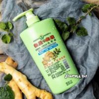 *雲林縣農特產生薑肉桂洗髮精500ml*1瓶